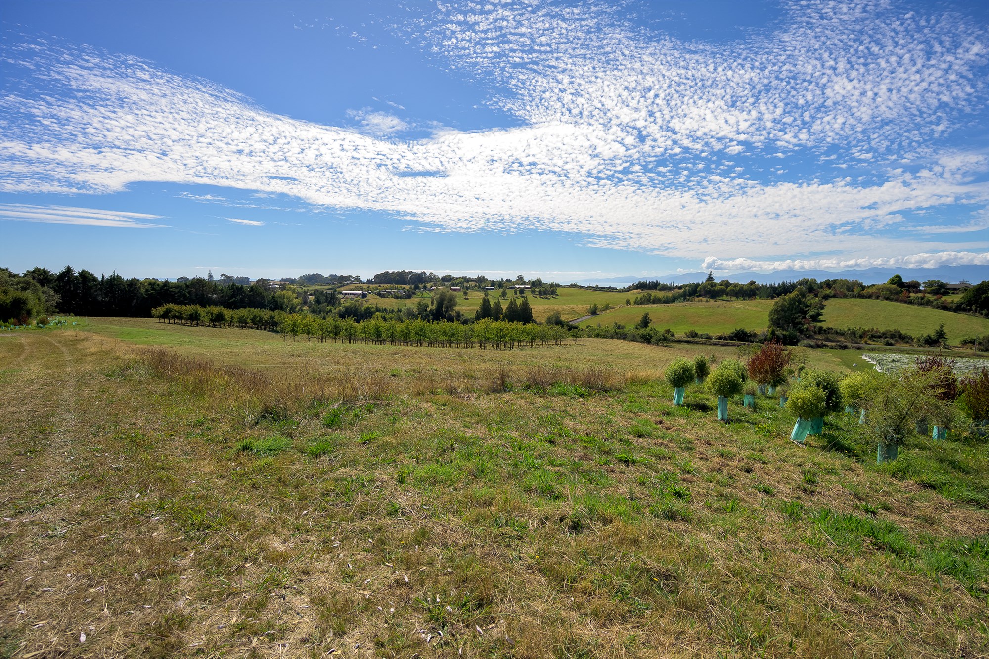 K Real Estate Agency - Motueka | Nelson | Tasman & Golden Bay - Lots 1-3 Pomona Road Subdivision - Ruby Bay