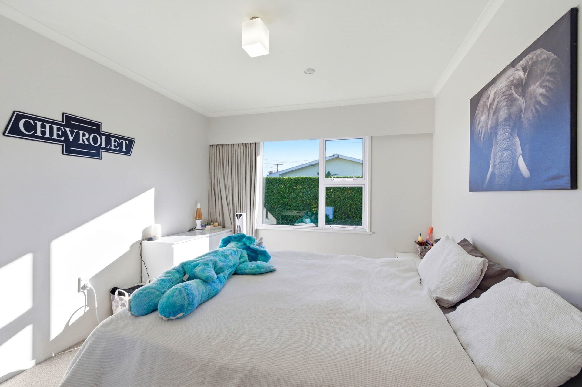 K Real Estate Agency - Motueka | Nelson | Tasman & Golden Bay - 15 York Street - Motueka