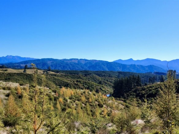 K Real Estate Agency - Motueka | Nelson | Tasman & Golden Bay - 854A Neudorf Road - Upper Moutere