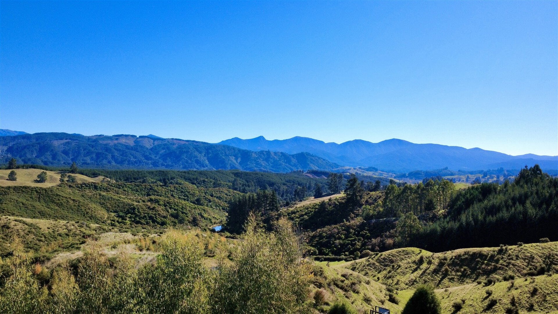 K Real Estate Agency - Motueka | Nelson | Tasman & Golden Bay - 854A Neudorf Road - Upper Moutere