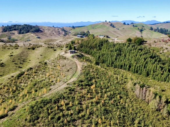 K Real Estate Agency - Motueka | Nelson | Tasman & Golden Bay - 854A Neudorf Road - Upper Moutere