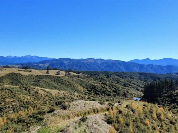 K Real Estate Agency - Motueka | Nelson | Tasman & Golden Bay - 854A Neudorf Road - Upper Moutere