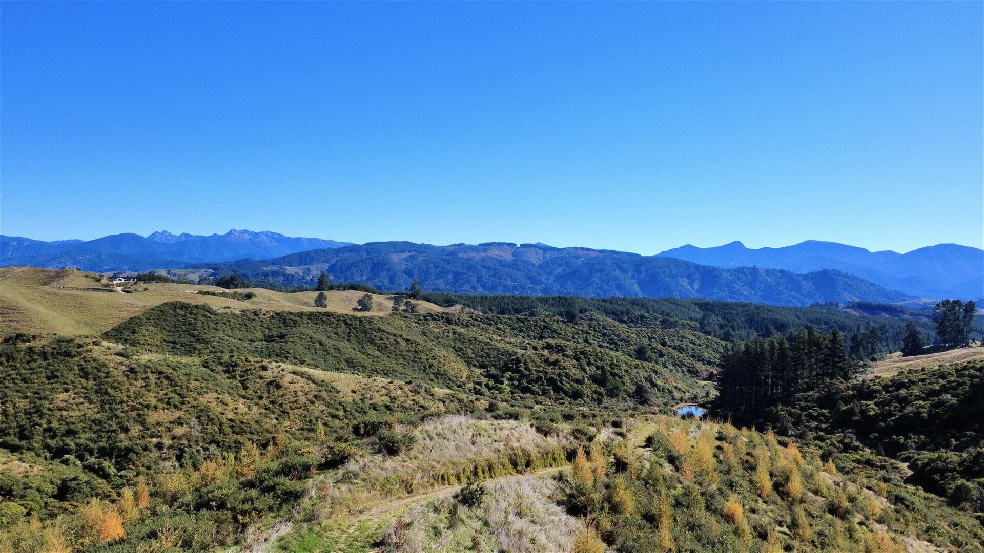 K Real Estate Agency - Motueka | Nelson | Tasman & Golden Bay - 854A Neudorf Road - Upper Moutere