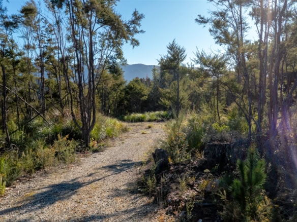 K Real Estate Agency - Motueka | Nelson | Tasman & Golden Bay - 366a Kaiteriteri-Sandy Bay Road - Kaiteriteri