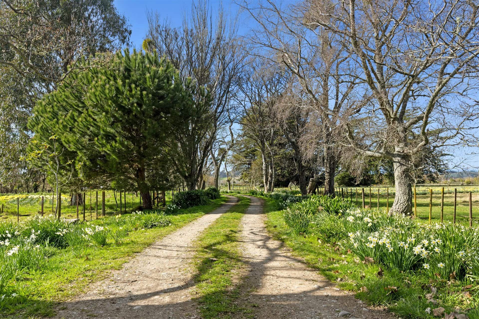 66 Central Road – Motueka K Real Estate Agency - Motueka | Nelson | Tasman & Golden Bay - 66 Central Road - Motueka