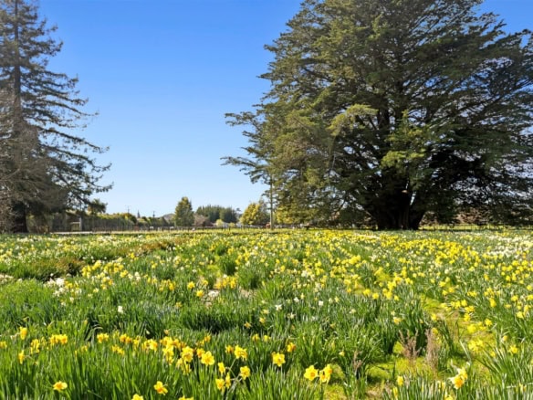K Real Estate Agency - Motueka | Nelson | Tasman & Golden Bay - 66 Central Road - Motueka