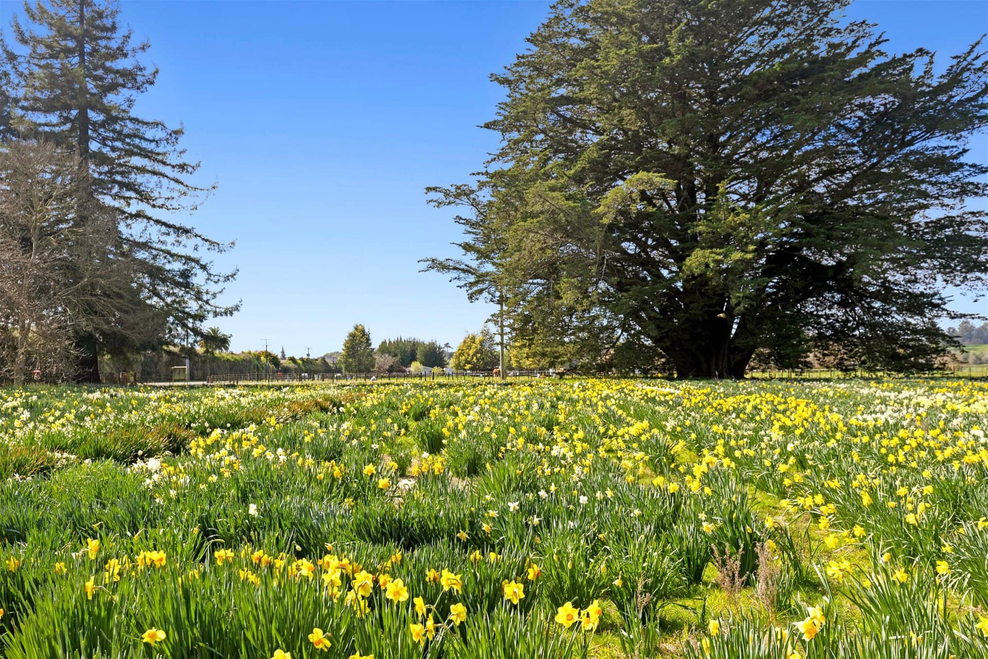 66 Central Road – Motueka K Real Estate Agency - Motueka | Nelson | Tasman & Golden Bay - 66 Central Road - Motueka