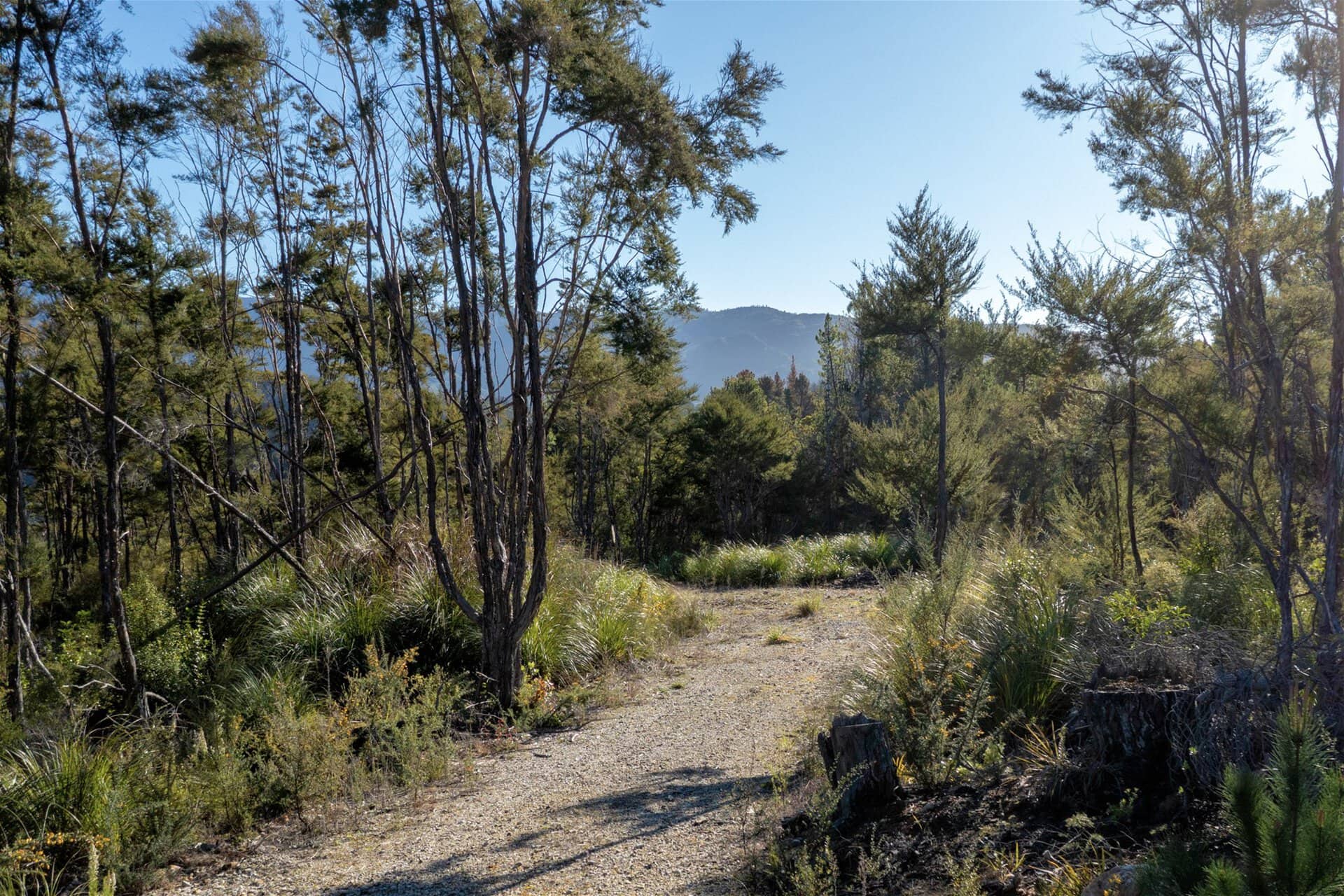 K Real Estate Agency - Motueka | Nelson | Tasman & Golden Bay - 366a Kaiteriteri-Sandy Bay Road - Kaiteriteri
