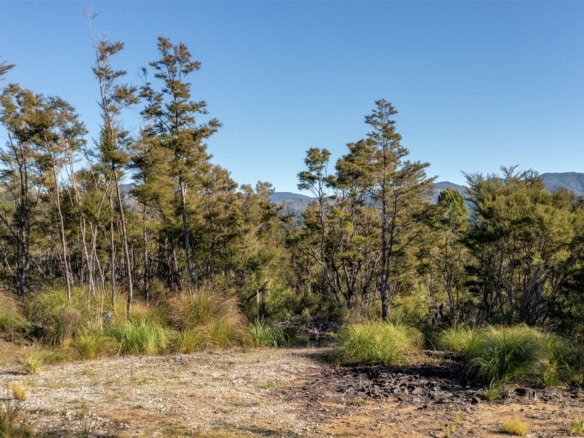 K Real Estate Agency - Motueka | Nelson | Tasman & Golden Bay - 366a Kaiteriteri-Sandy Bay Road - Kaiteriteri