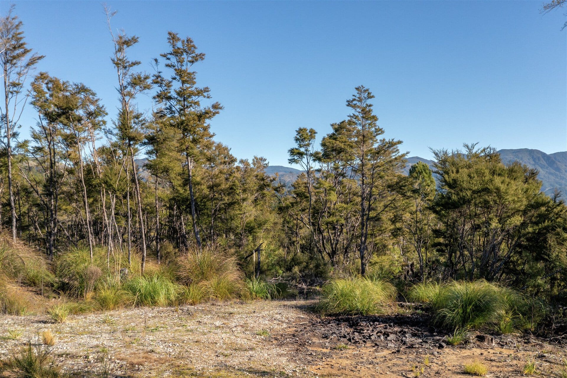 K Real Estate Agency - Motueka | Nelson | Tasman & Golden Bay - 366a Kaiteriteri-Sandy Bay Road - Kaiteriteri
