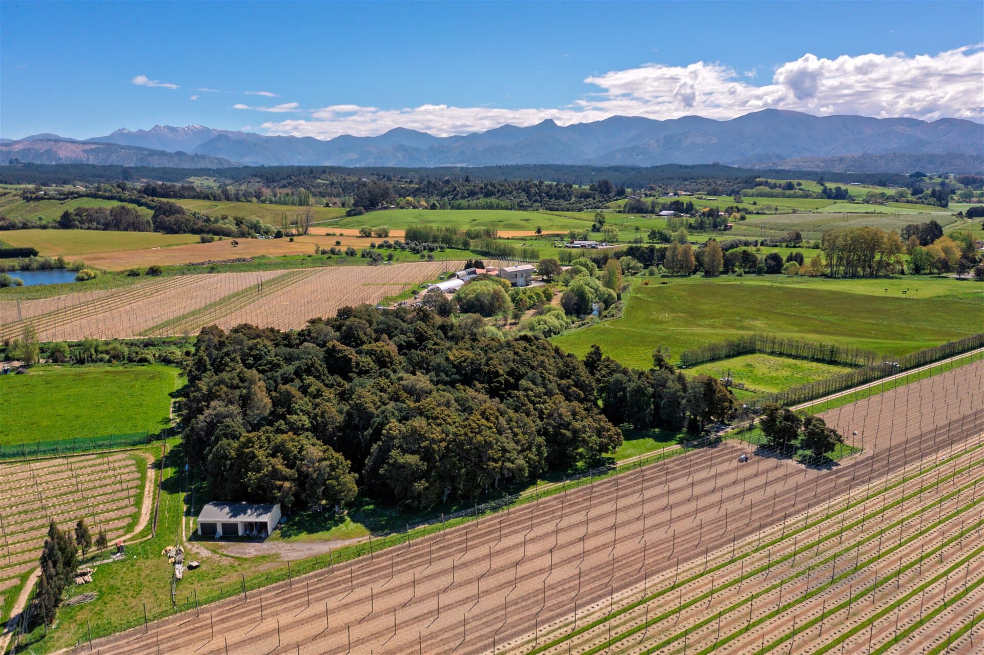 53 Wills Road – Upper Moutere K Real Estate Agency - Motueka | Nelson | Tasman & Golden Bay - 53 Wills Road - Upper Moutere