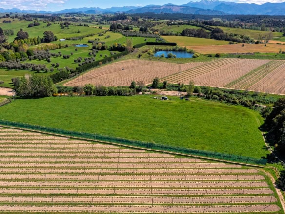 K Real Estate Agency - Motueka | Nelson | Tasman & Golden Bay - 53 Wills Road - Upper Moutere
