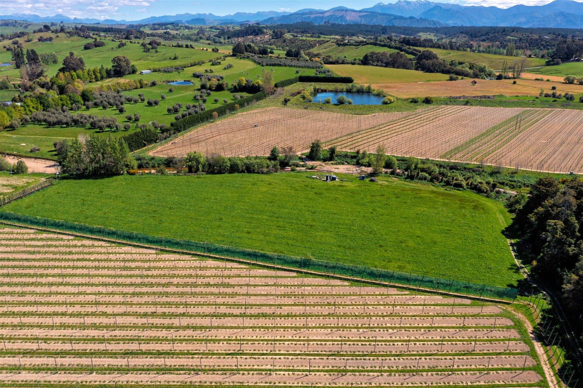 53 Wills Road – Upper Moutere K Real Estate Agency - Motueka | Nelson | Tasman & Golden Bay - 53 Wills Road - Upper Moutere